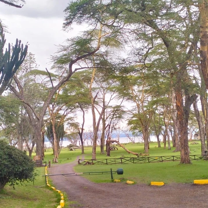 3-Day Lake Naivasha Walking Safari and Lake Nakuru Tour